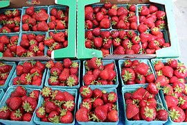 strawberries-1323619__180